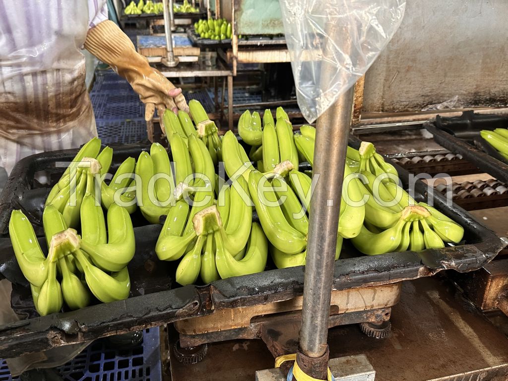 Cavendish Bananas, Fresh Mango