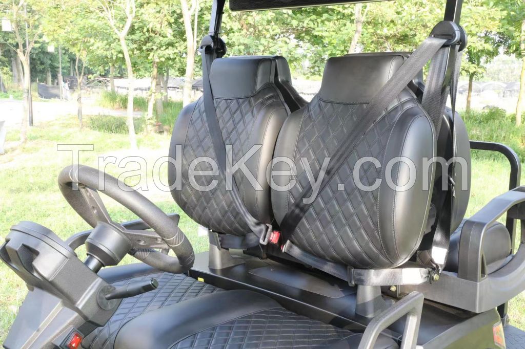 Electric 4 Seater Golf Cart/Buggy lifted