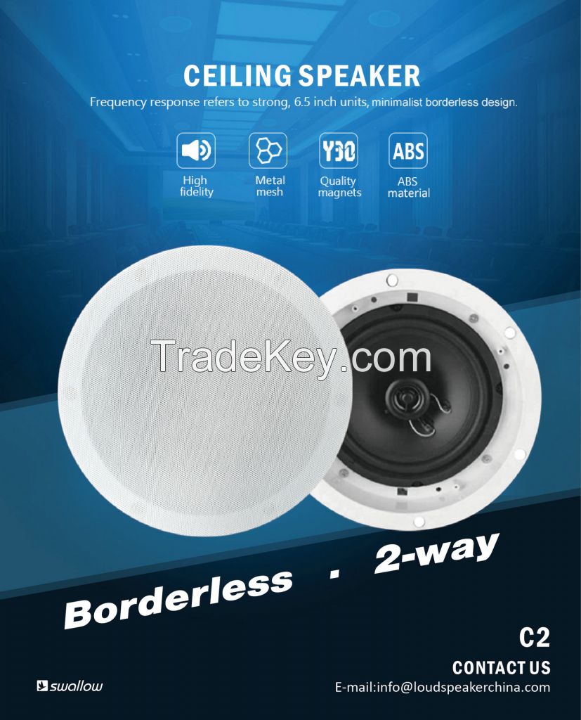 Ceiling speaker C2