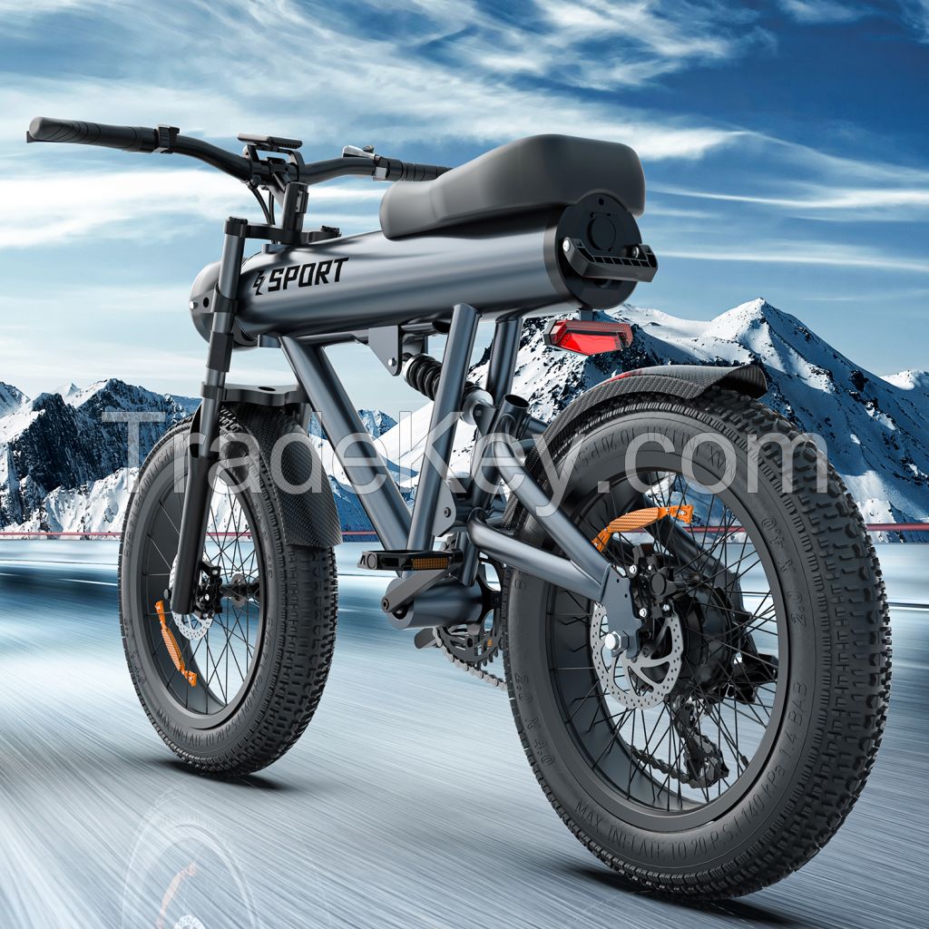 Electric Bike for Adult, 20â€œ Fat Tire E-bike Aluminum Frame, 30 Mph, Removable Battery, Range 55 Miles, 7 Speed