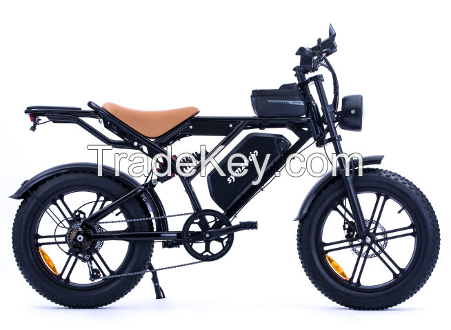 Promotion of new electric bicycle products in 2025