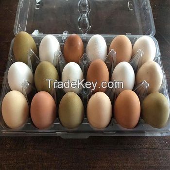 BROWN CHICKEN EGGS