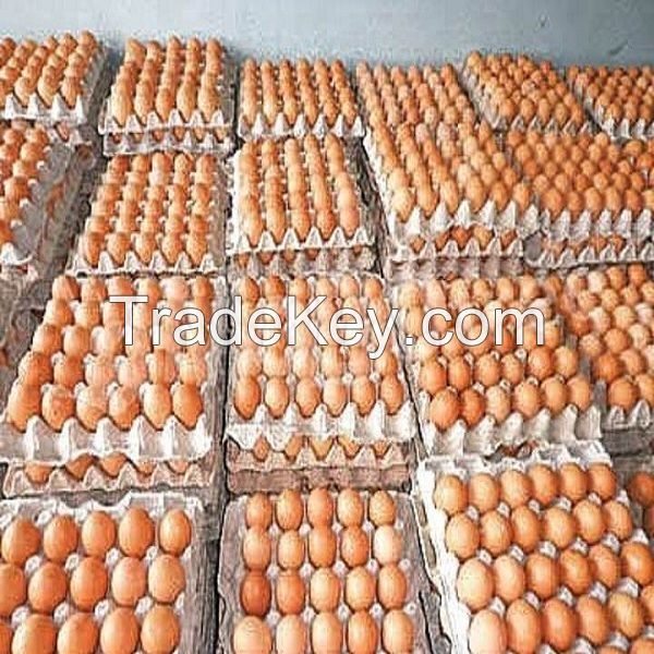 BROWN CHICKEN EGGS