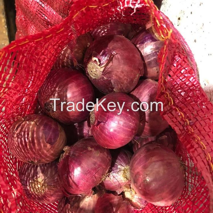 EXPORT-QUALITY FRESH RED ONION FOR SALE