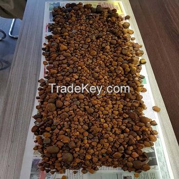 Cow Gall Stones / Ox Gallstones