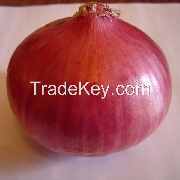 EXPORT-QUALITY FRESH RED ONION FOR SALE