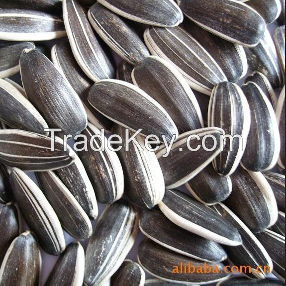 SUNFLOWER SEEDS