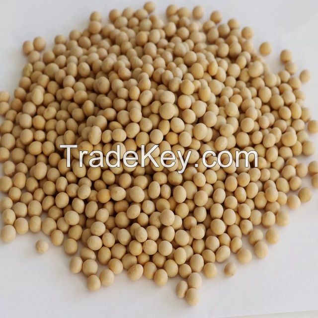 NON GMO SOYBEANS