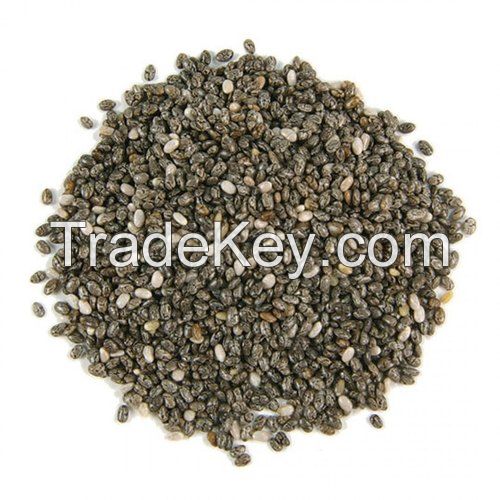 HIGH-QUALITY ORGANIC CHIA SEEDS FOR SALE