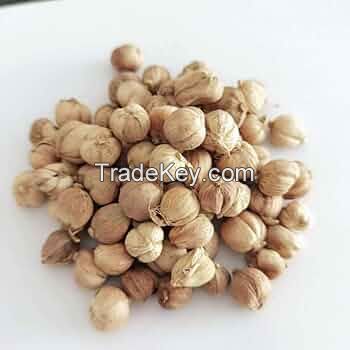  FRESH HIGH-QUALITY WHITE CARDAMOM 