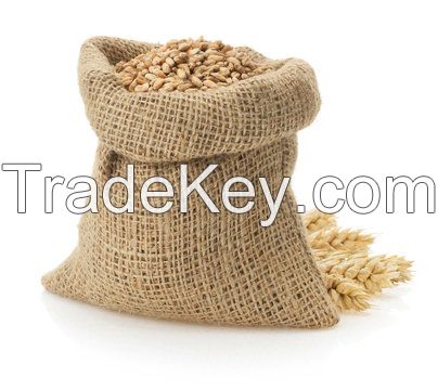 WHEAT GRAINS