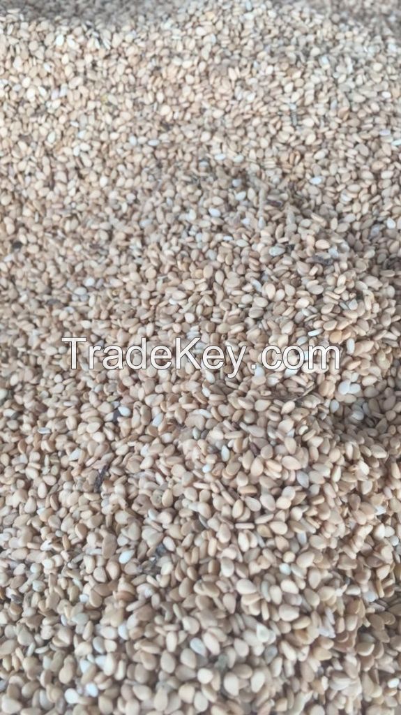 NATURAL / HULLED SESAME SEEDS