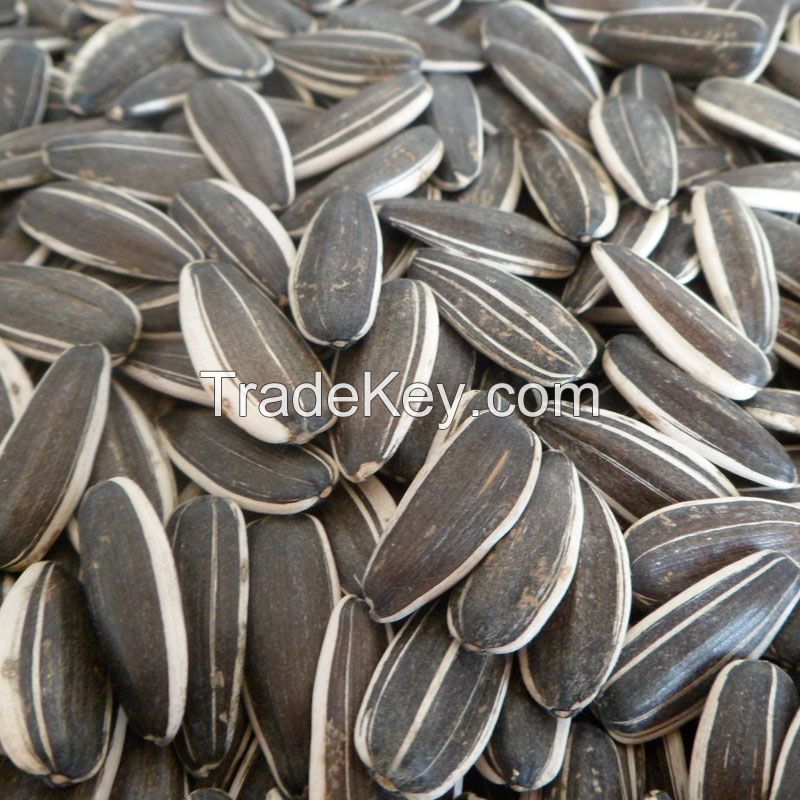 ORGANIC HIGH-QUALITY SUNFLOWER SEEDS