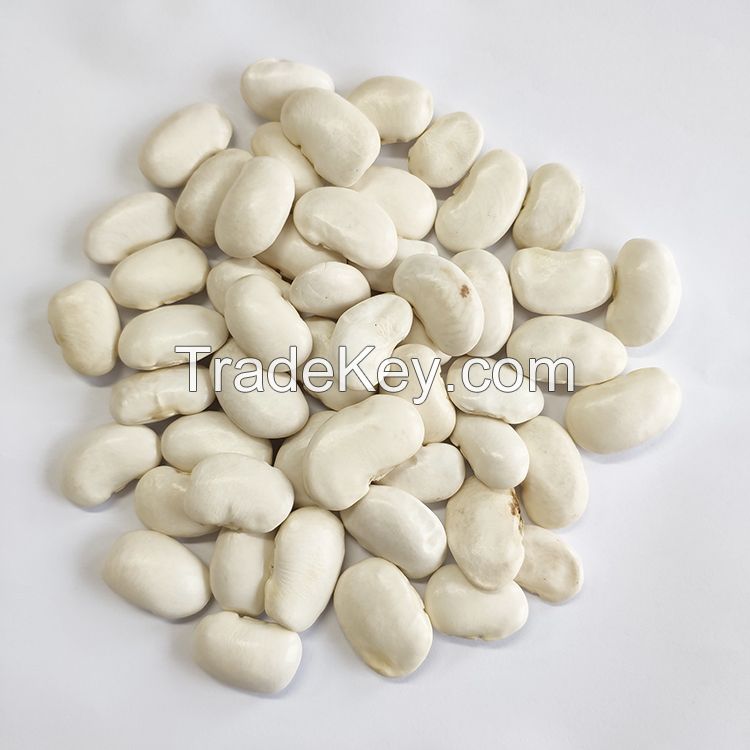 WHITE KIDNEY BEANS