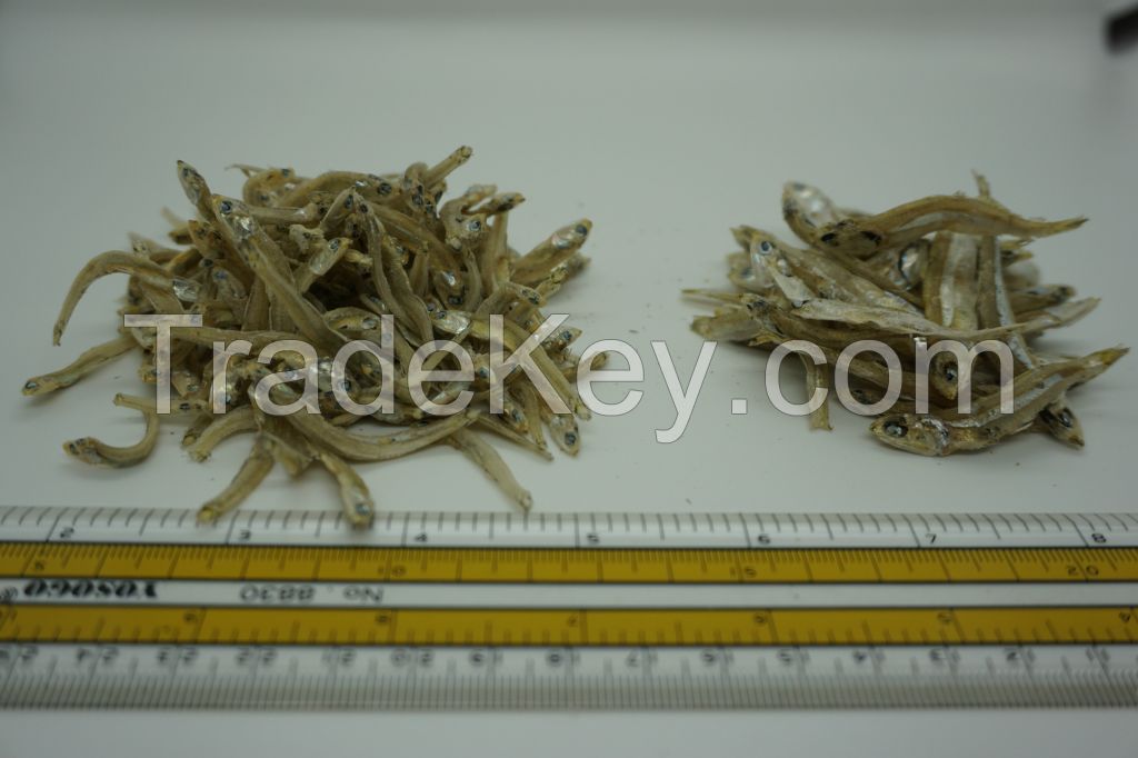 DRIED ANCHOVY FISH