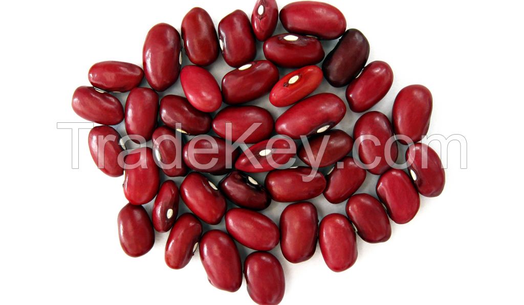 RED KIDNEY BEANS