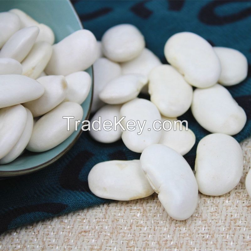 WHITE KIDNEY BEANS