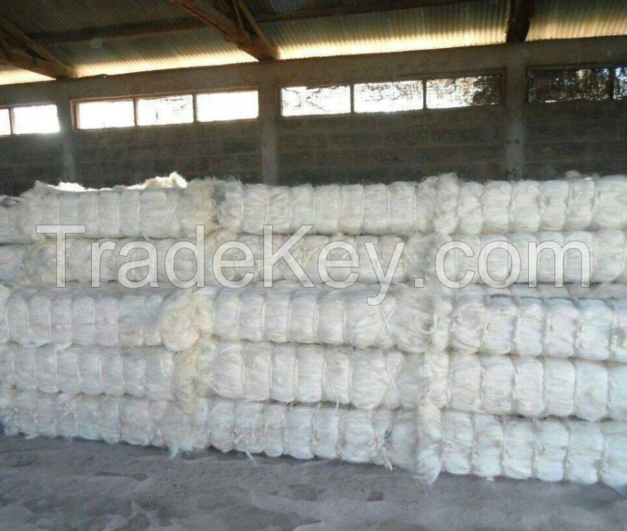 SISAL FIBER