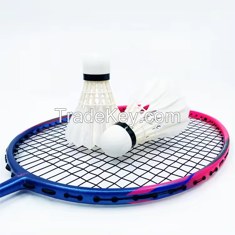 Dmantis Training High Quality 5U Level Full Carbon Badminton Shuttlecork Racket D7 Badminton Racket
