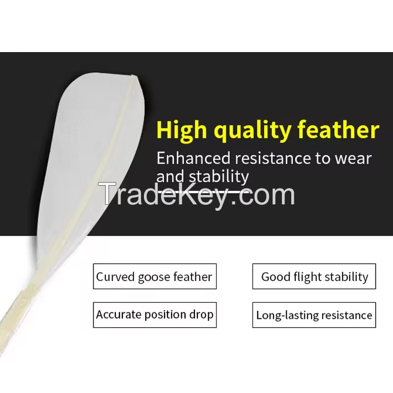 Factory supply Taiwan fiber cork white color 12pcs/tube durable goose feather badminton balls