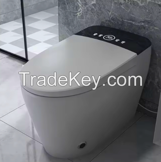 Floor Mounted Siphon smart toilet