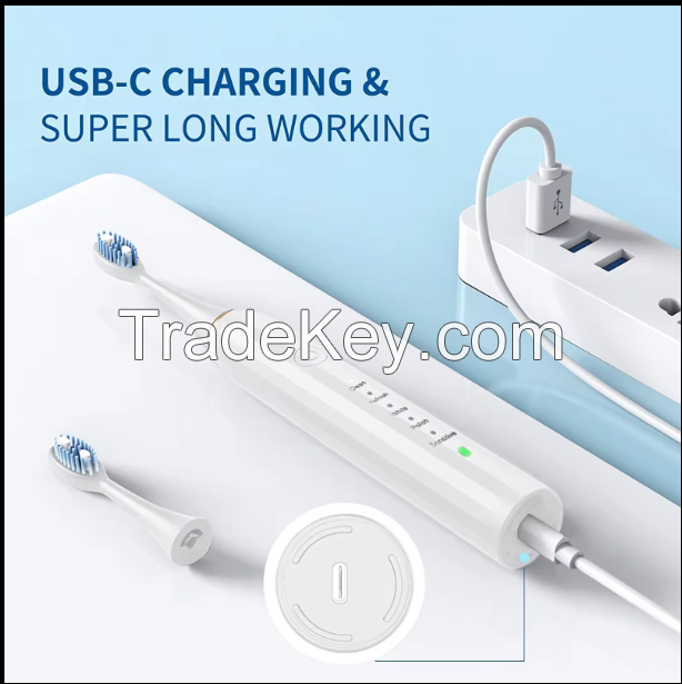 JIDENG electric toothbrush high quality adult rechargeable battery operated waterproof electric toothbrush sonic