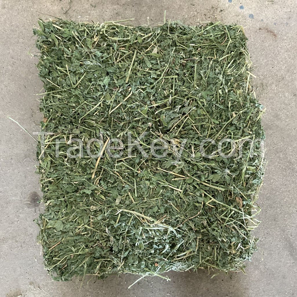 Alfalfa Hay  High Quality Italy