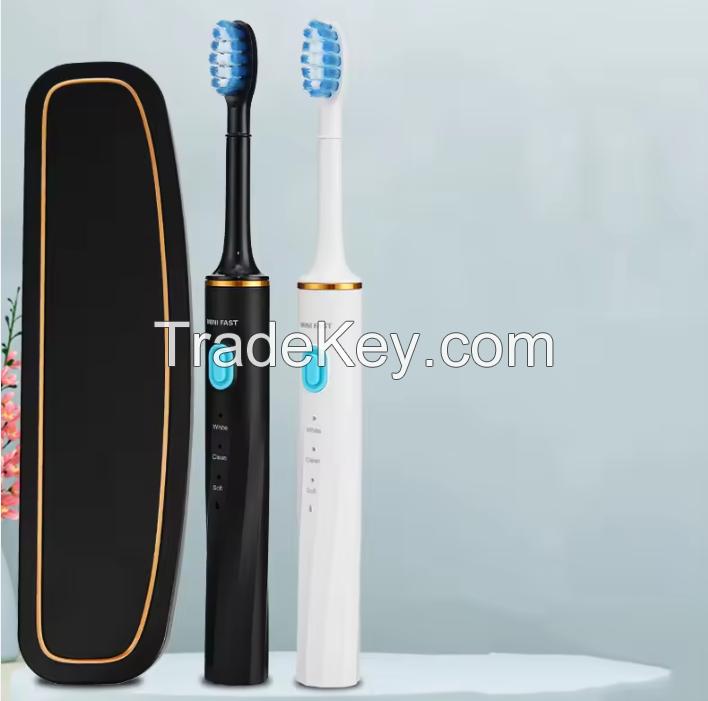 Travel head replacement rechargeable sonic electric toothbrush