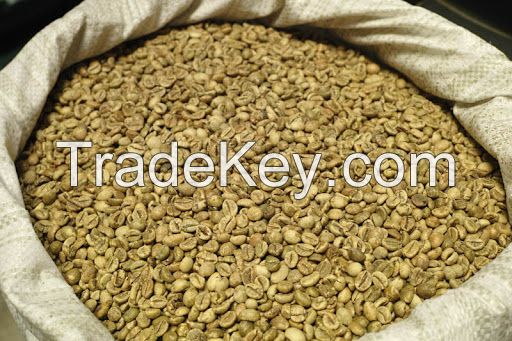 Green Robusta S16 Coffee Beans