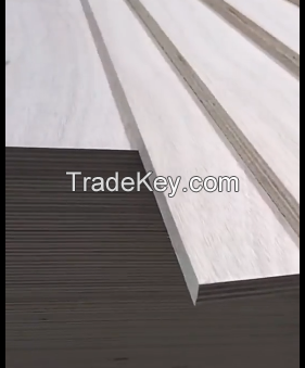 veneered  hardwood plywood with 12mm,15mm,18mm for furniture,kitchen