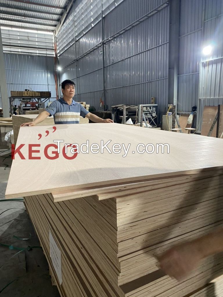 12mm Okoume Faced Commercial Plywood
