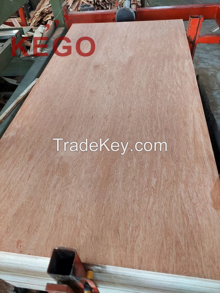 Bintangor Faced Commercial Plywood