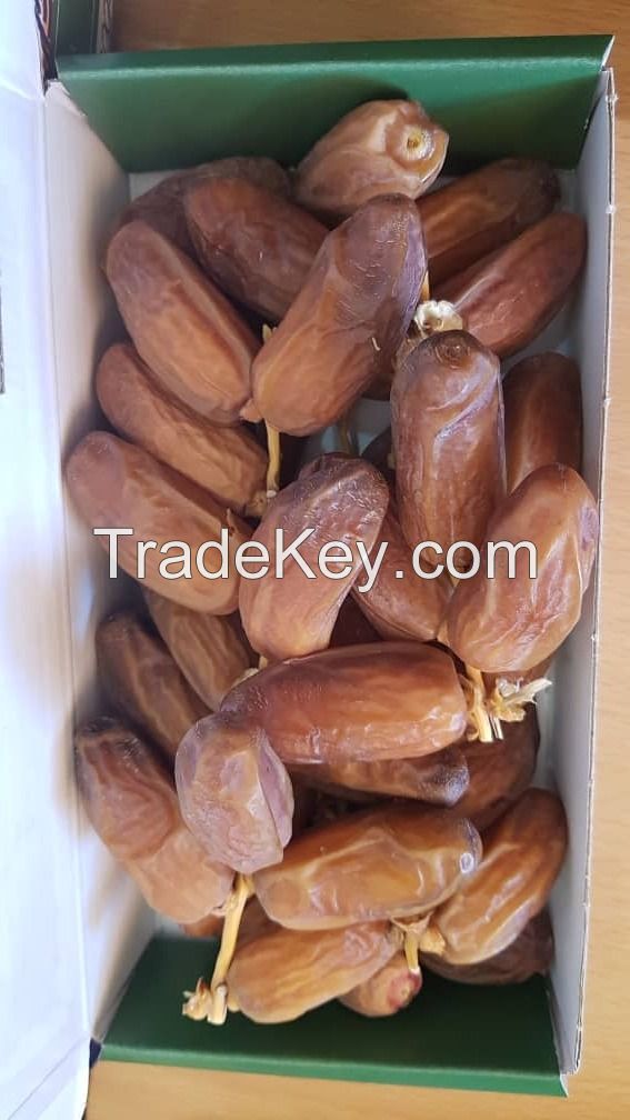 Sweet Semi-Dry Dates Supplier from Algeria, Best Price Dates Wholesale Factory (OEM, ODM)
