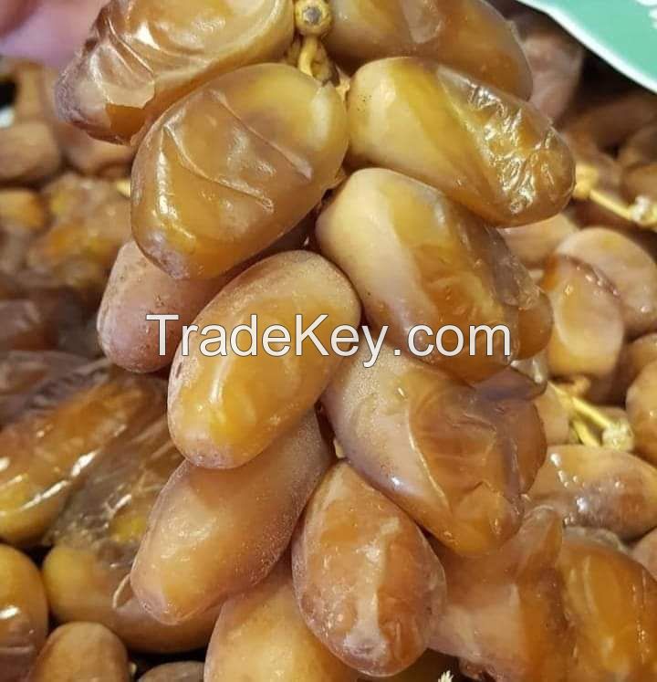 Organic Natural Premium Dates - High-Quality Algerian &quot;Deglet Noor&quot; Dates, AAA Fresh Dates Fruit, Wholesale Factory Supplier (OEM, ODM)