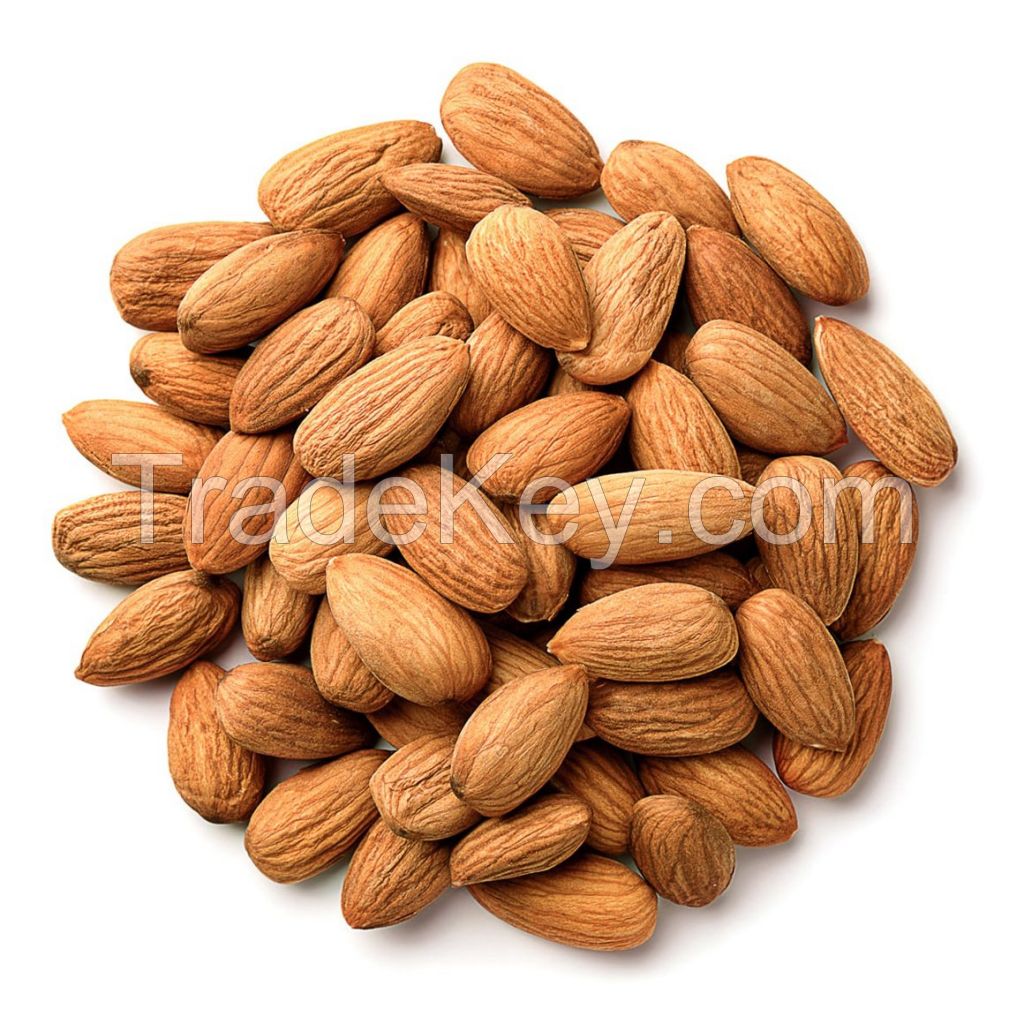 Top Grade Organic Raw Bulk Sale Roasted Almond Nut Suppliers Almonds Nuts