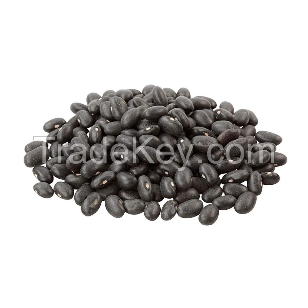 Black kidney beans in brine with good quality for whole world