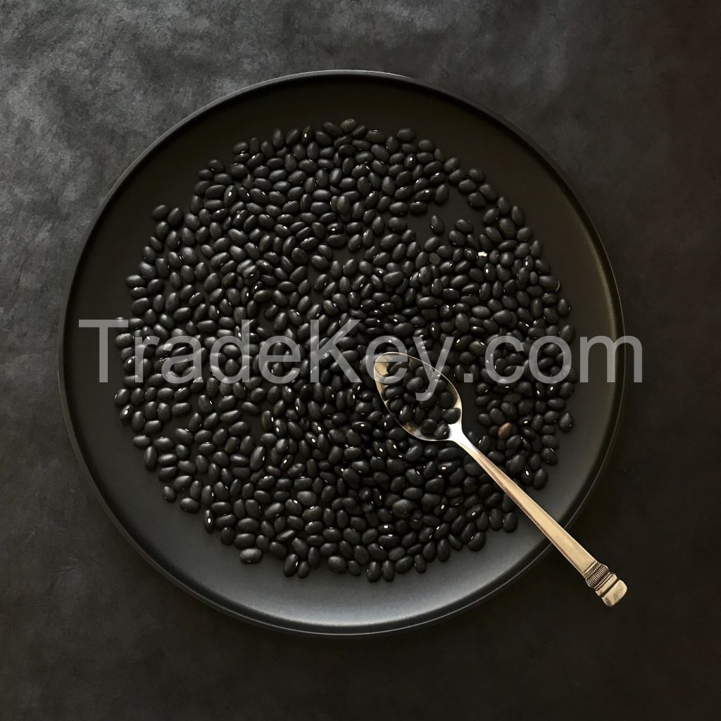 Black kidney beans in brine with good quality for whole world