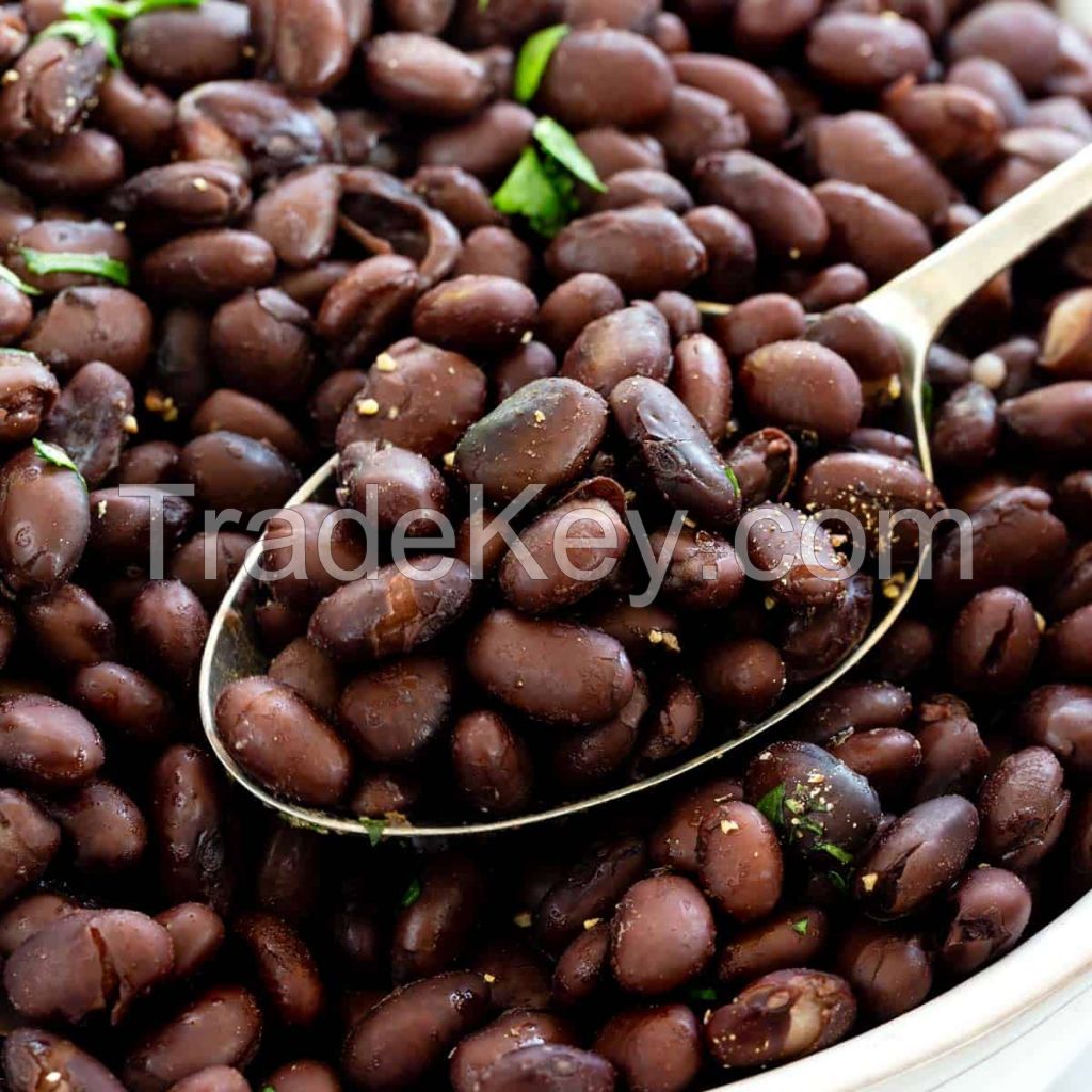 Black Kidney Beans Organic Small Price Dried Black Beans Top Grade Wholesale black kidney Beans For Sale