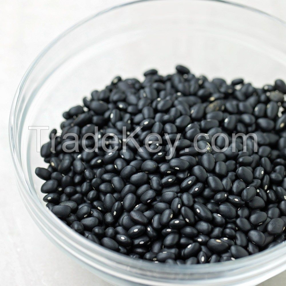 Black kidney beans in brine with good quality for whole world