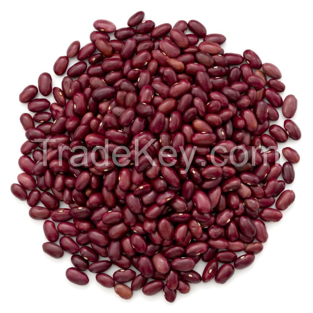 Export White And Red Kidney Beans Light Speckled High Quality Red Kidney Beans Cheap Price