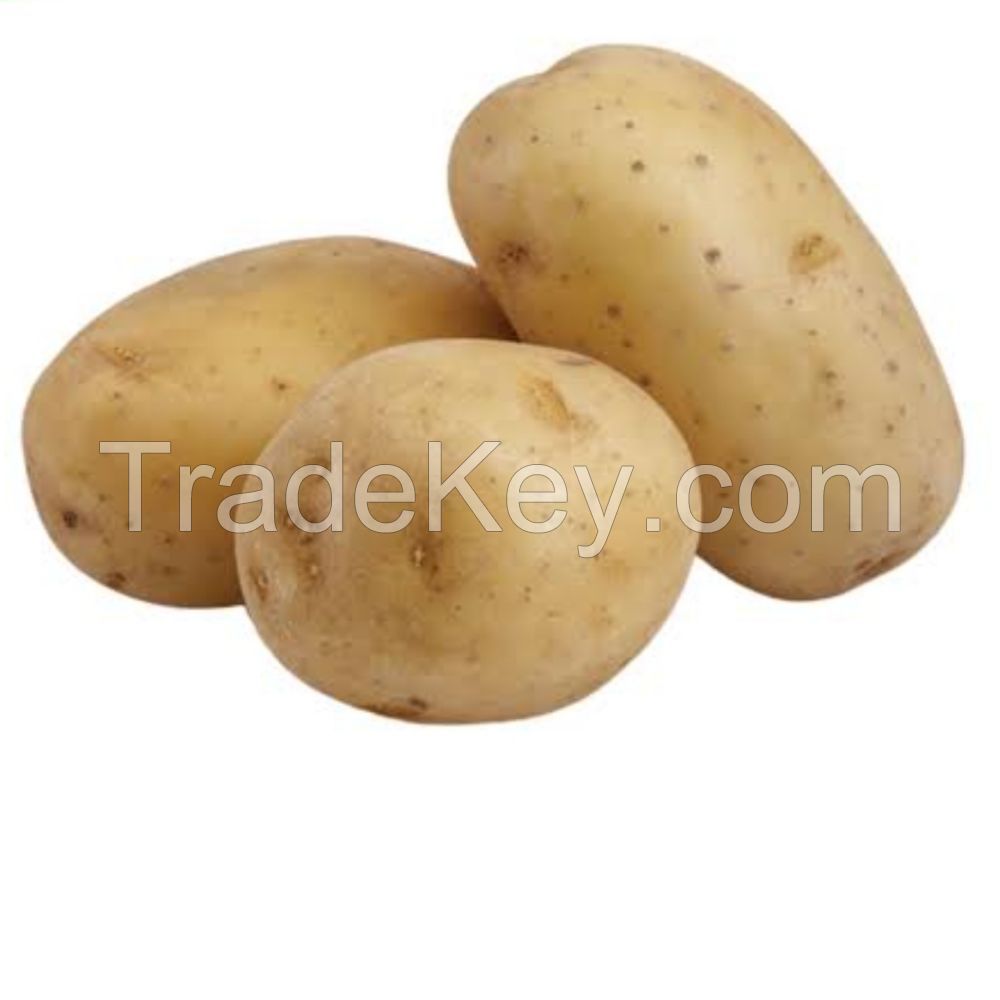 Fresh Potatoes High Grade Cheap Price Professional Export Wholesalers Fresh Potato