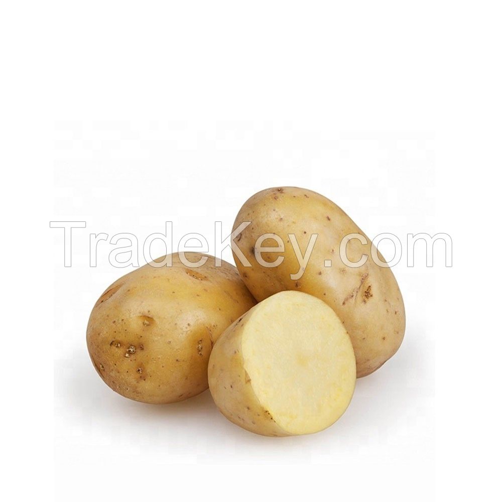 Fresh Potatoes High Grade Cheap Price Professional Export Wholesalers Fresh Potato