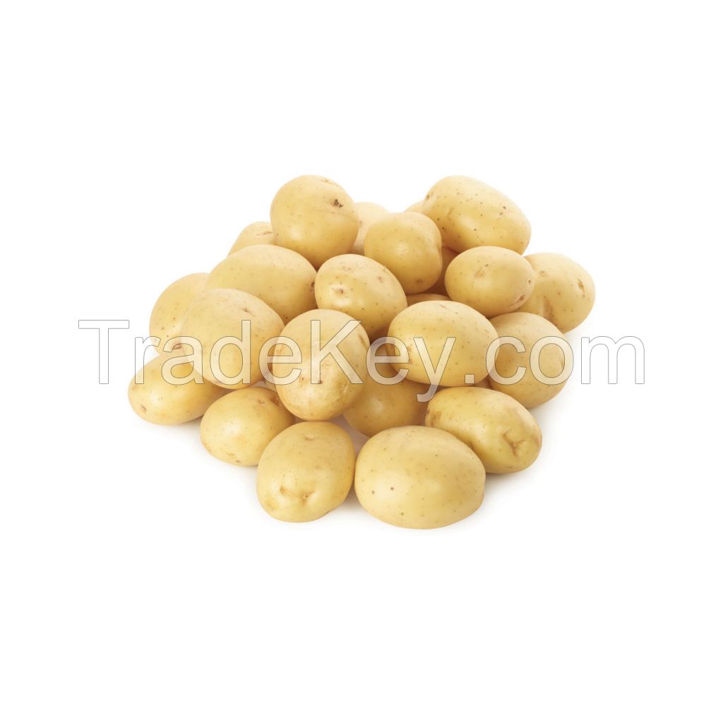 Premium quality 100% Organic fresh Potatoes wholesale price