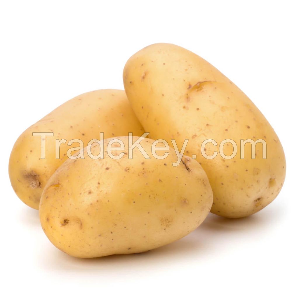 Premium quality 100% Organic fresh Potatoes wholesale price