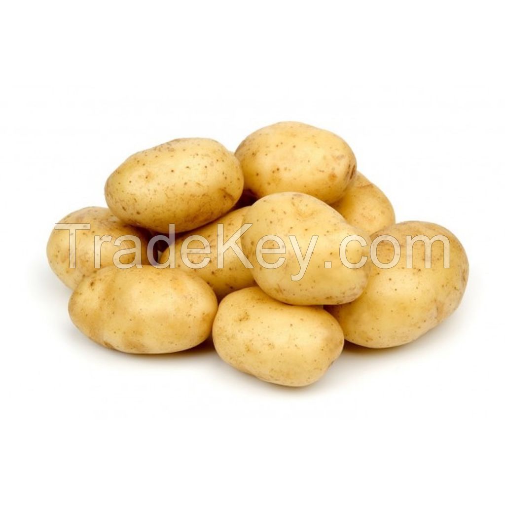 Premium quality 100% Organic fresh Potatoes wholesale price