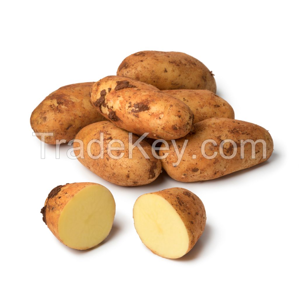 Premium quality 100% Organic fresh Potatoes wholesale price