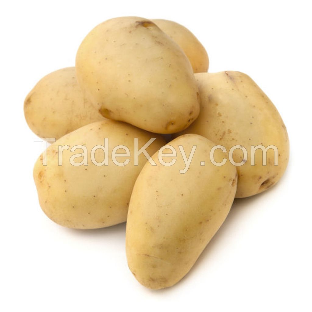 Premium quality 100% Organic fresh Potatoes wholesale price