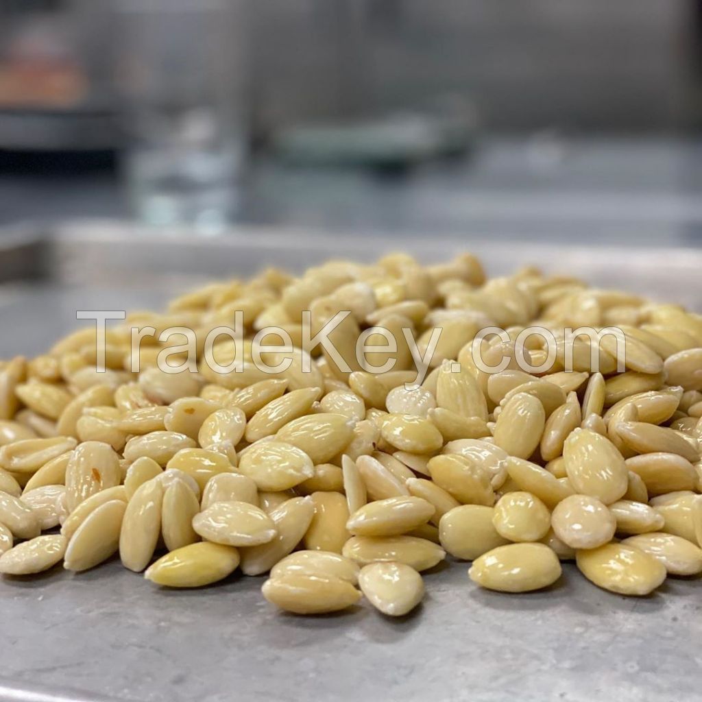 Natural Pine nuts kernels wholesales