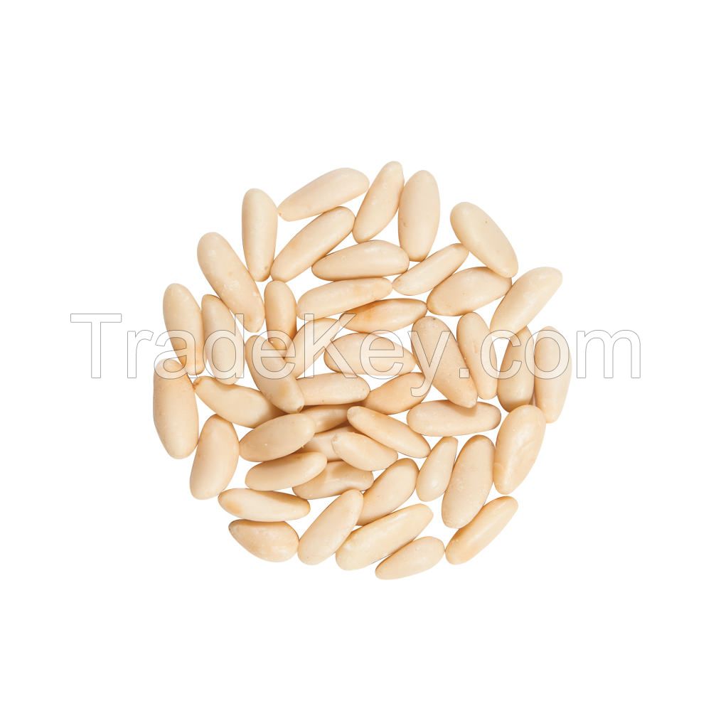 Pine Nut Kernels In Vacuum Bags Bulk Top Quality Sustainably Sourced Naturally Produced Raw