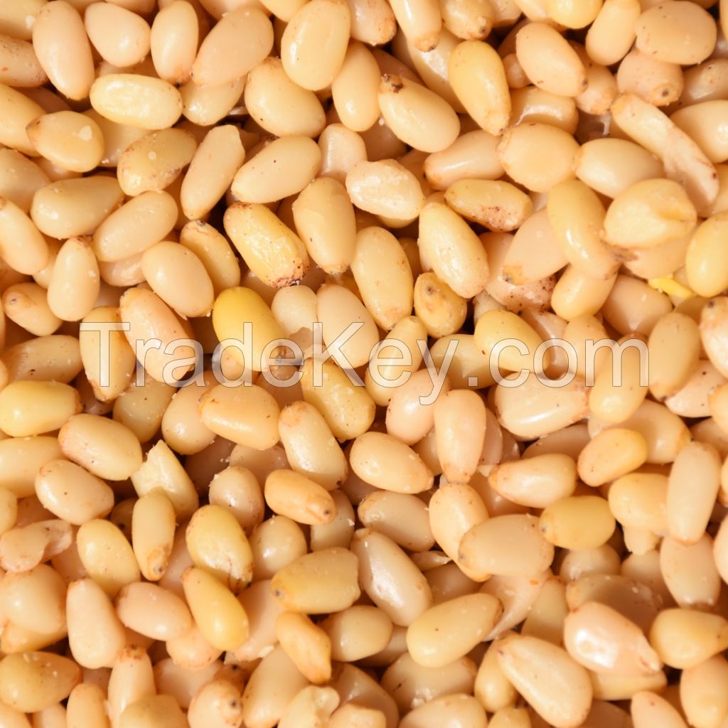 Roasted and Salted Pine Nuts , Pine Nuts in Shell and Pine Nut Kernels